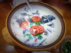 -全乐鱼馆·淳牌有机鱼直营店