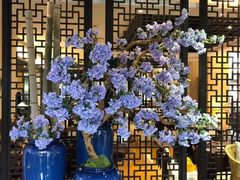 -天目湖御水温泉·度假酒店