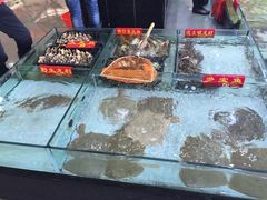 -海龙渔村(万江分店)