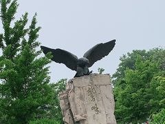 -北京鹫峰国家森林公园