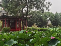 -莲池书院博物馆
