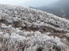 -金子山原生态旅游风景区