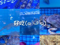 -徐记海鲜(大雁塔|金都店)