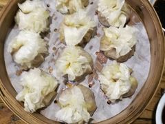 -老阿妈蒙古村·蒙古包·草原文化·歌舞表演(老君堂店)