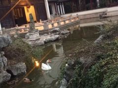 -祝家花園(伯渎港店)