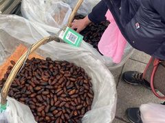 -铁西体育场