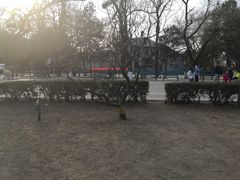 -北京大学燕东园
