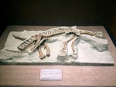 -自贡恐龙博物馆