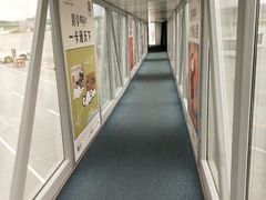 -绵阳南郊机场