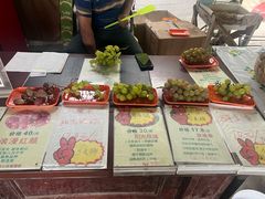 -马陆小张葡萄园农家乐