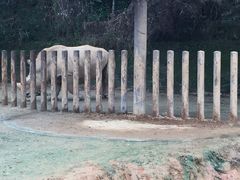 -福州动物园