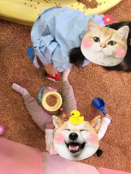 -哈尼兔家庭乐园(开发区万达店)