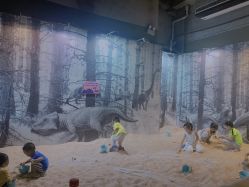 -恐龙探索乐园(磁器口店)