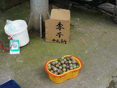 -雅安上里古镇