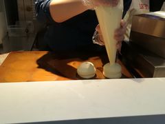 -狐狸和向日葵(北京路店)