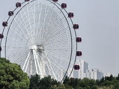 -武汉园博园(武汉自然博物馆)