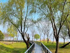 -莲花岛景区