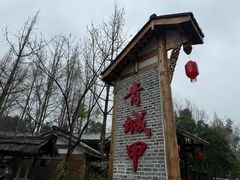 -青城甲(青城山店)