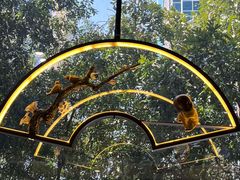 -粤赏点(越秀城市广场店)