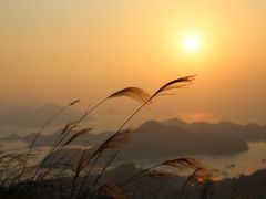 -小皓村