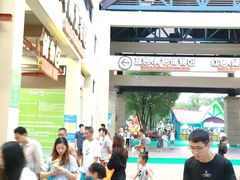 -苏州乐园森林水世界