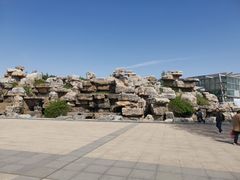 -石家庄市植物园