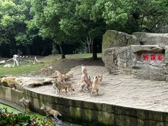 -常州淹城野生动物世界