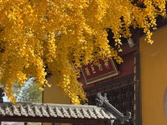 -上海青龙寺