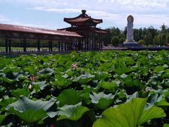 中华荷花园-南戴河国际娱乐中心