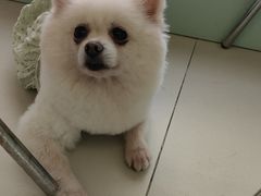 -怪兽屋·羊驼·猫咖·狗咖(俊华广场店)