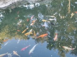 -Oasis Beauty水磨坊科技美肤中心