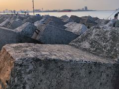 -上海滨江森林公园