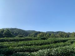 -西湖风景区十里琅珰-五云山