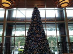 -上海浦东嘉里大酒店