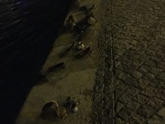 -多瑙河畔鞋履雕塑