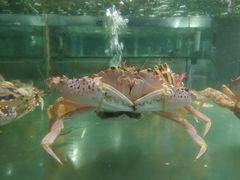 -聚鲜阁海鲜美食城(香水湾店)
