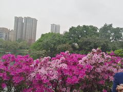 -晓港公园