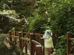 -大岭沟猕猴桃谷风景区