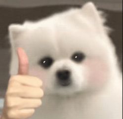 -众刺纹画·纹身·穿孔饰品·海娜定制