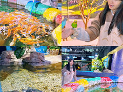 -顺德南宏海立方海洋公园
