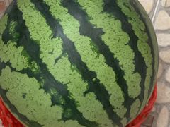 -璐坊粽王(复兴中路店)