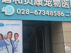 -谐和贝康宠物医院24小时·宠保定点(急重症转诊中心)