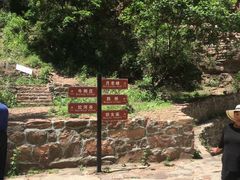 -爱情山风景区