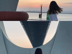 -芒洲湿地公园