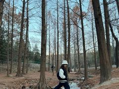 -白水寺森林公园