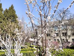 -山东师范大学(千佛山校区)