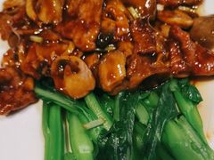 -金鼎轩(亚运村店)