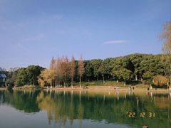 -新洲生态园