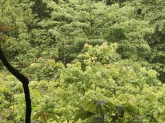 -贵州省植物园