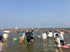 -碧海金沙